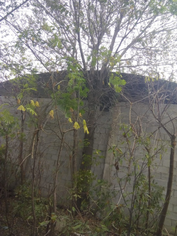 Córdoba, ,Lote,En Venta,1018